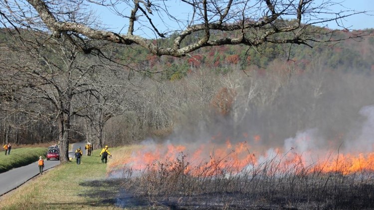 GSMNP: Park plans prescribed burns in Cades Cove