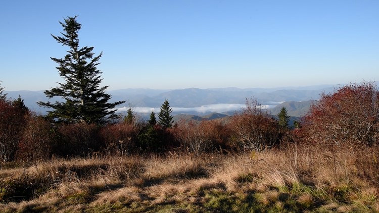 10Explores: Andrews Bald
