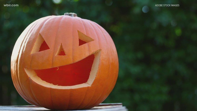 City of Gatlinburg, TWRA urging people and businesses to refrain from using real produce as fall decorations this season