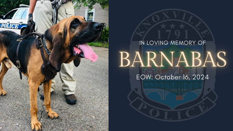 KPD: Search and rescue dog dies after over a decade of service