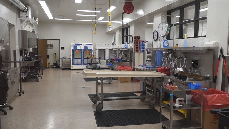 National DNA backlog delays closure in missing person cases