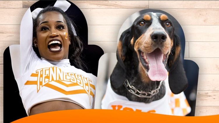 Fans can buy cardboard versions of themselves to cheer on the Vols in Thompson-Boling Arena