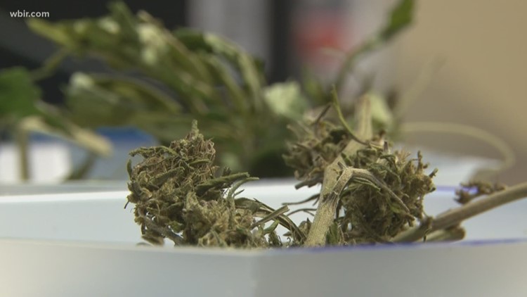 Resolution stopping state lawmakers from allowing recreational drug use passes committee, headed to vote