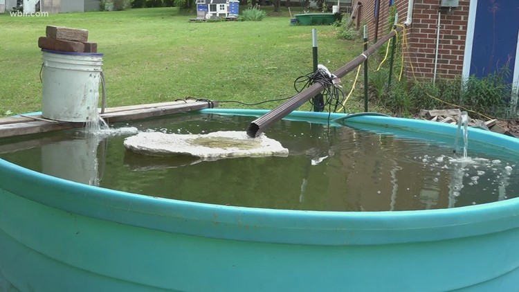 Tennessee man farms fish to combat high food prices