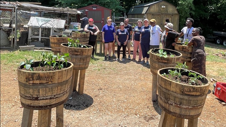 Service & Sacrifice: Healing soil for the soul