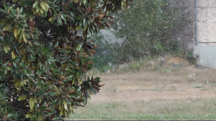 Snow in October?! Flurries fall in Campbell County after a freezing morning in East Tennessee