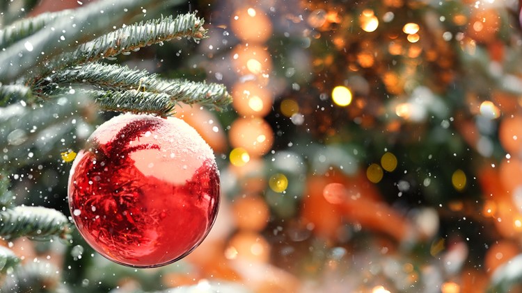 &iquest;Es seguro asistir a fiestas navide&ntilde;as a&uacute;n con vacunas contra COVID?