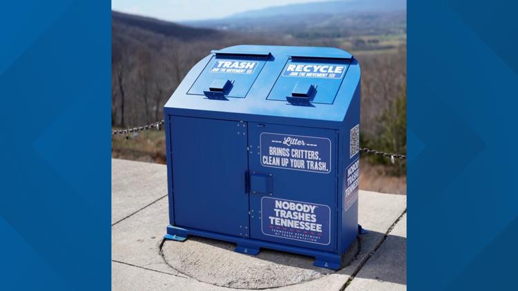 TDOT, TWRA work together to protect bears in Tennessee this summer