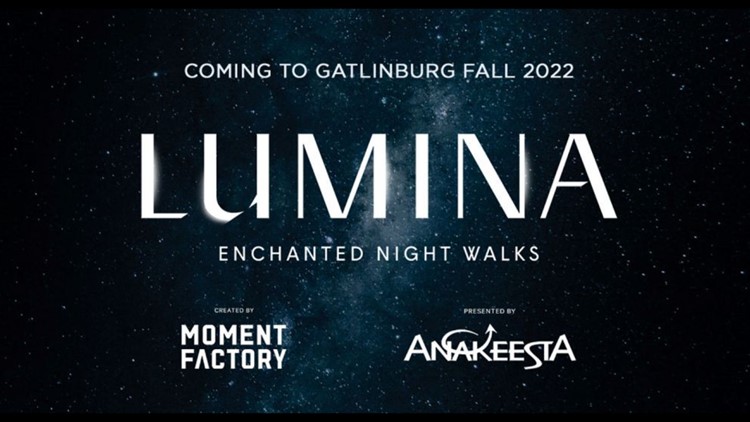 Lumina Enchanted Night Walks at Anakeesta Contest Lumina Enchanted Night Walks at Anakeesta Contest