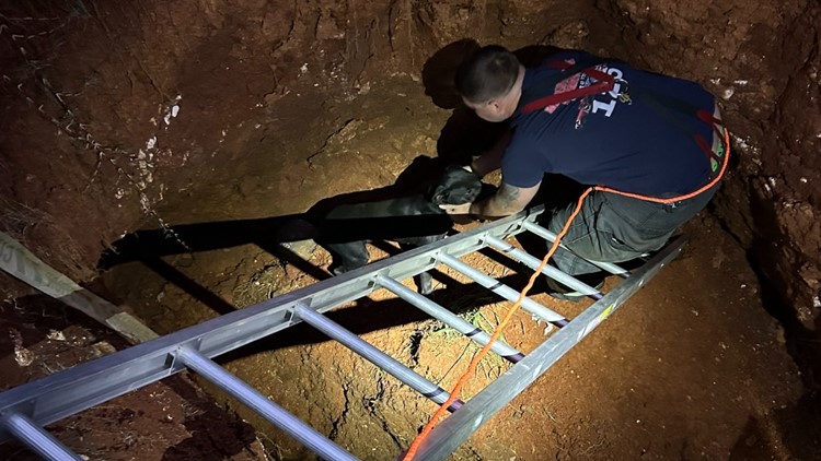 Morristown Fire Department crew pulls dog out of 12-foot sinkhole Friday evening