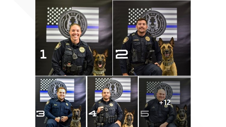 Pawsitively fabulous | KCSO celebrates K-9 division with competition