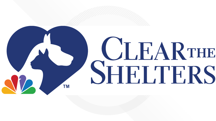 Give a pet a forever home during Clear the Shelters 2022