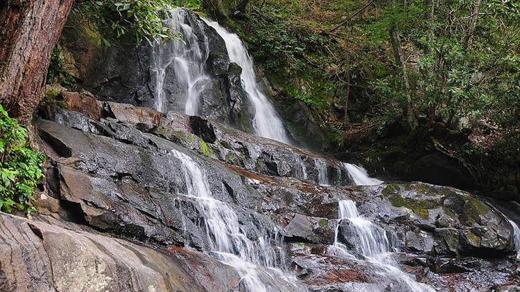 Project to eliminate unsafe roadside parking at Laurel Falls trailhead returns to Great Smoky Mountains