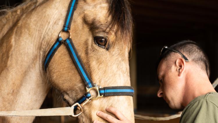 Blount County mounted patrol is the last unit on horseback in East Tennessee Blount County mounted patrol is the last unit on horseback in East Tennessee