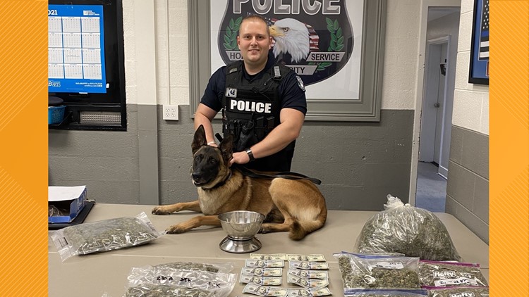 LaFollette Police Department finds several pounds of marijuana and cash during traffic stop