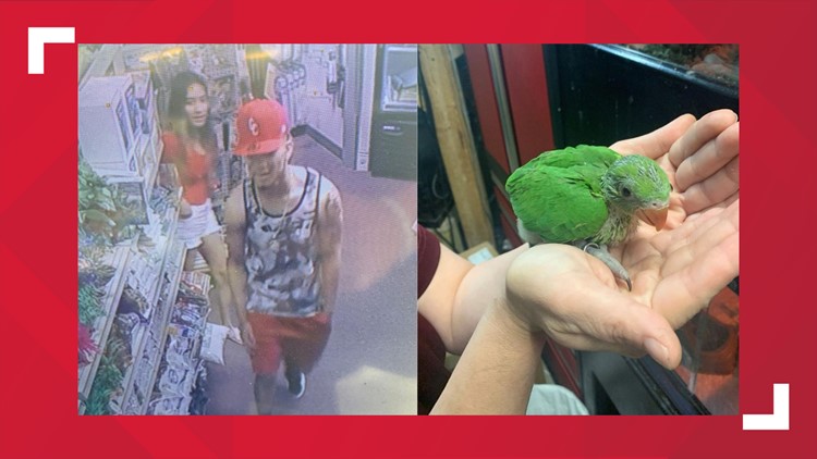 Parakeet worth nearly $1,200 found safe after stolen from Murfreesboro pet store