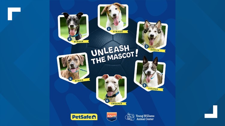 One Knox SC to unveil new mascot at Saturday game One Knox SC to unveil new mascot at Saturday game