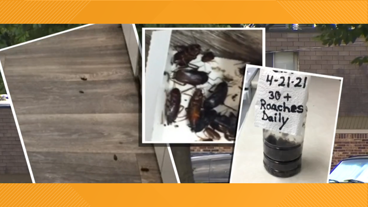 Pest Problem: Woman claims Davidson County apartment is riddled with roaches