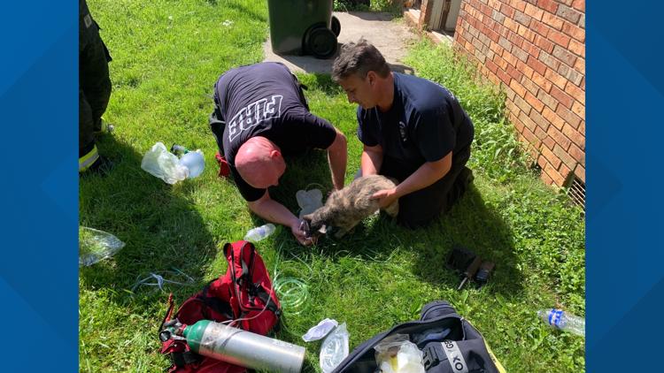 Morristown Fire Department: No one hurt after apartment fire