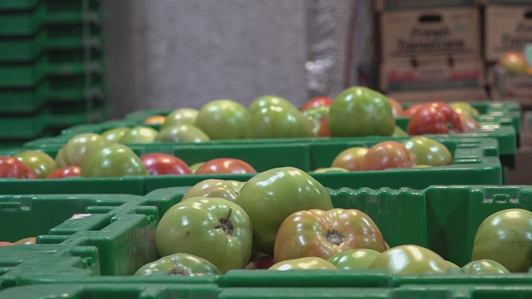Grainger County farmer brace for freezing temperatures