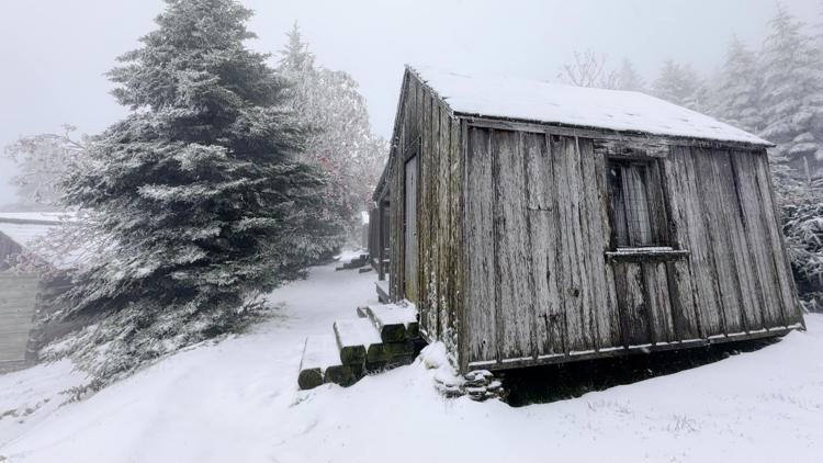 First snow of the season arrives on Mount LeConte First snow of the season arrives on Mount LeConte