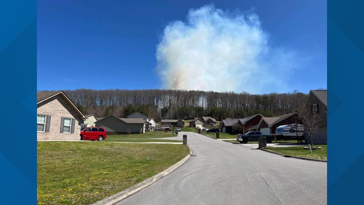 Rural Metro: Brush fire contained in Corryton