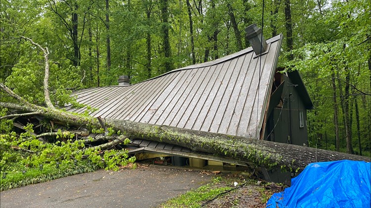 KFD: Tree falls on North Knoxville home
