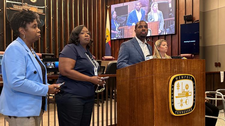 Memphis City Council sues to reinstate gun control measures on November ballot