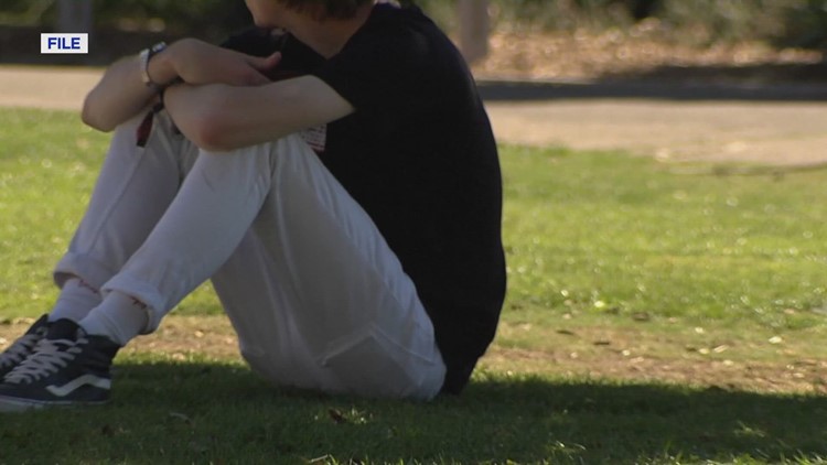 Hancock County leads Tennessee for youth mental health vulnerability, new data shows