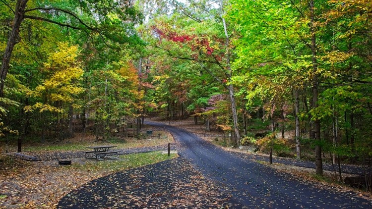 GSMNP reopens Look Rock Campground in time for fall weekend