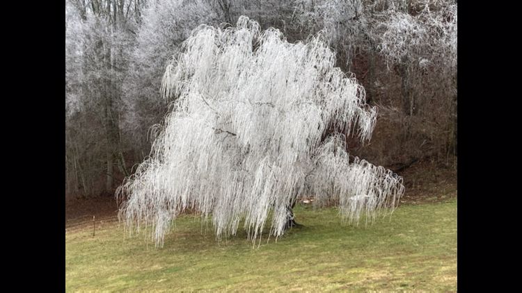 East Tennessee prepares for wintry weather