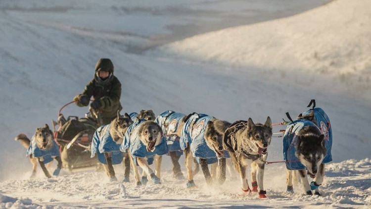 Knoxville native competing in 2023 Iditarod