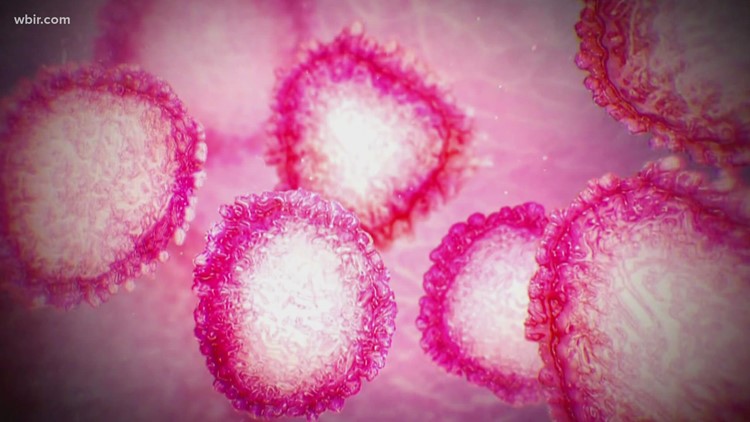 Doctores hablan de las diferencias de las variantes de COVID-19 y de c&oacute;mo se hacen las pruebas para detectar las cepas