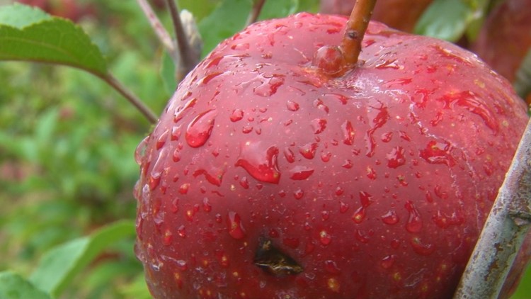 Apple Crisp Dump Cake