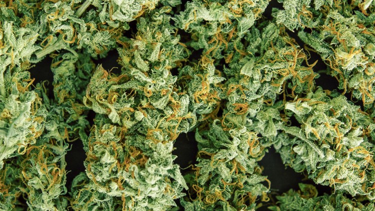 North Carolina medical marijuana sales begin at Cherokee store