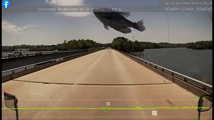Watch out for that fish: Slippery critter crash lands on truck windshield