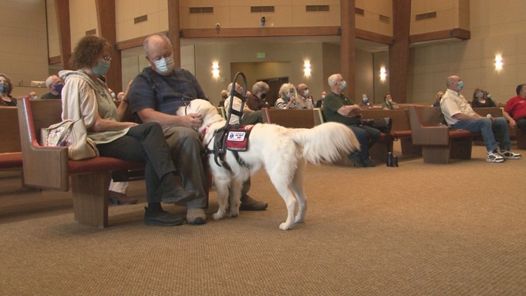 9/11 survivor and combat veteran gifted new Smoky Mountain Service Dog, Hondo