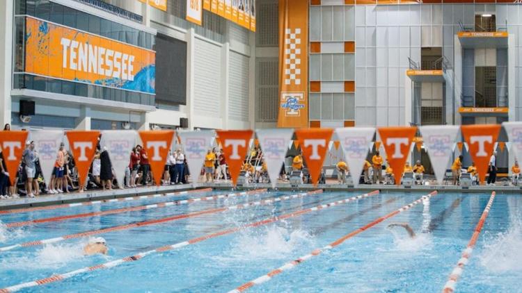 15 UT swimmers have qualified for the Paris Olympics. Who are they?