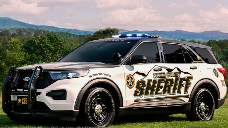 SCSO: Human skeletal remains found by tree trimming crew in Sevier Co. on Aug. 23