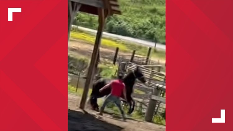 PFPD: Employee at Pigeon Forge stables arrested after video of him whipping horse shared online
