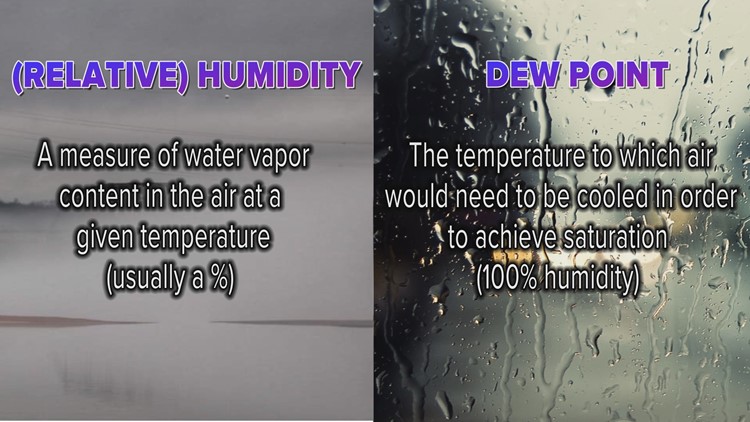 Weather Wednesday: What is dew point versus humidity?