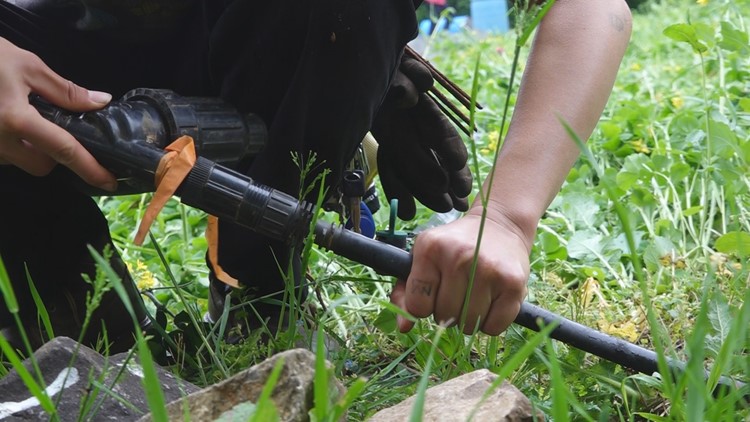 Beardsley Community Farm volunteer opportunities grow heading into the summer