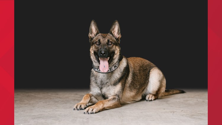 Maryville Police Department searching for missing K9