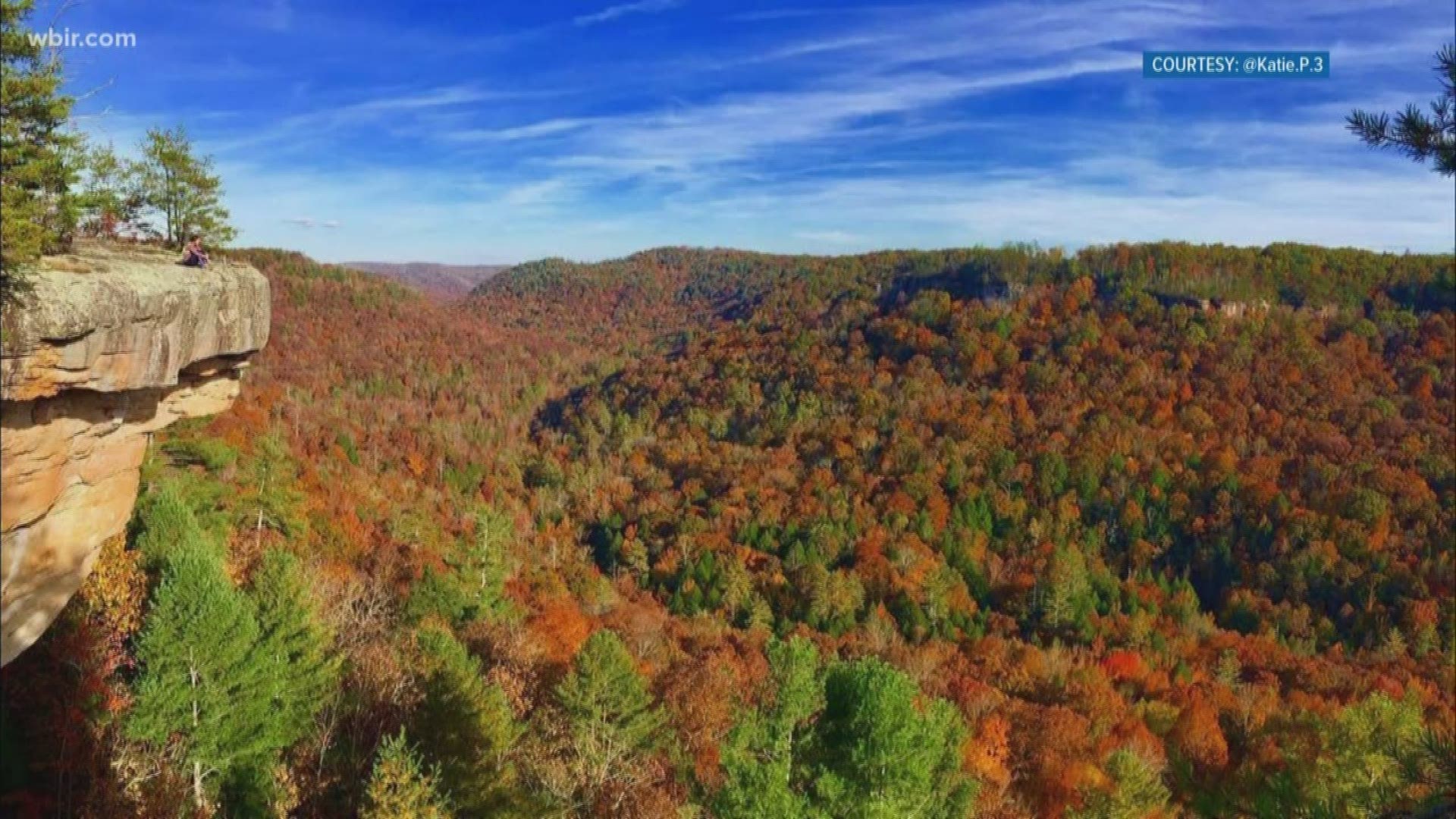 Dave Jones with the TN Department of Tourist Development shares where people who are colorblind can visit special sites to help them view the fall foliage