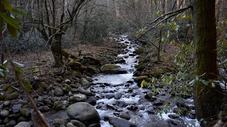 10Explores: Gatlinburg Trail