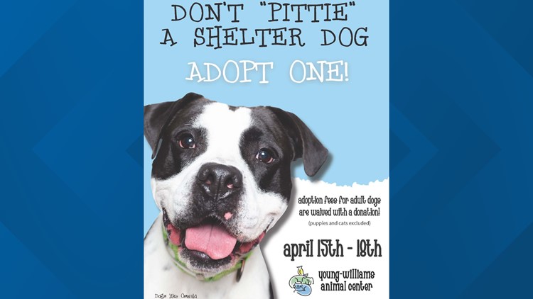 Young-Williams at critical capacity; adult dogs are adoptable for a donation of choice this weekend Young-Williams at critical capacity; adult dogs are adoptable for a donation of choice this weekend