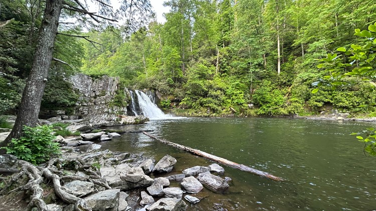 Toddler airlifted to hospital after fall off bridge in Great Smoky Mountains