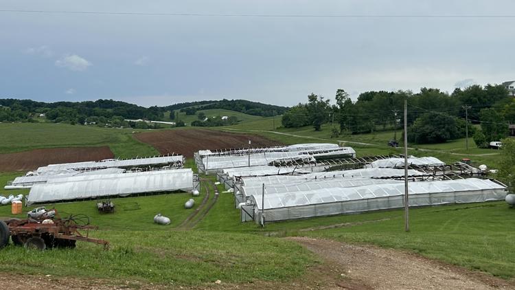 Grainger Co. farmer says severe storm damaged his crops, and neighbors are helping out