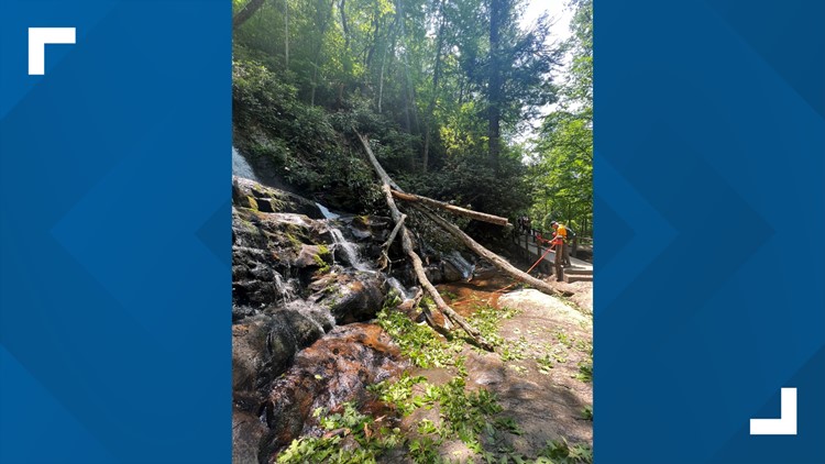 GSMNP: Laurel Falls Trail closing July 11 for tree removal, bridge repair
