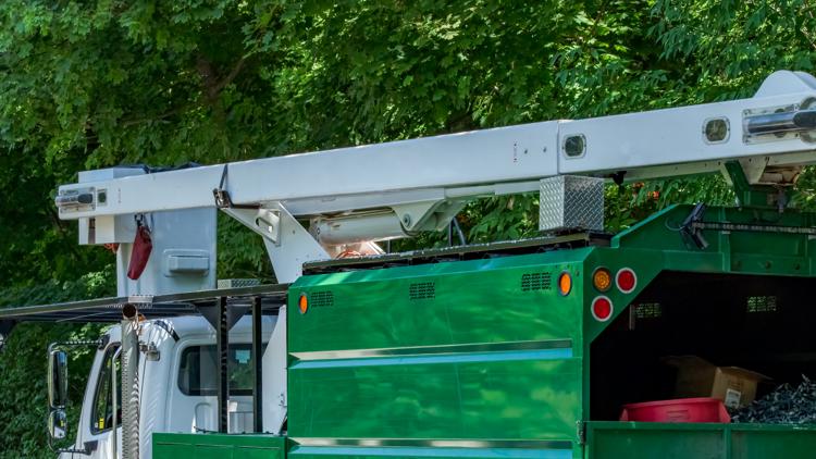 Tree service employee hurt after being shocked by power line while working